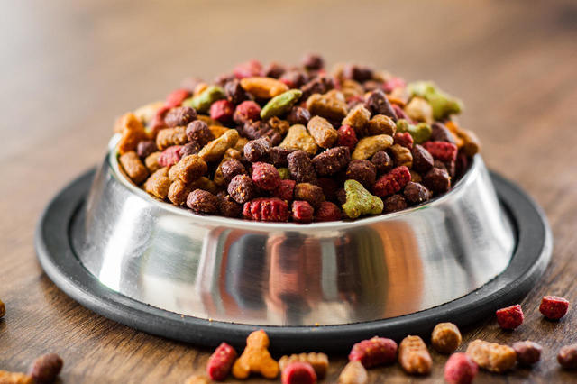 Pet food